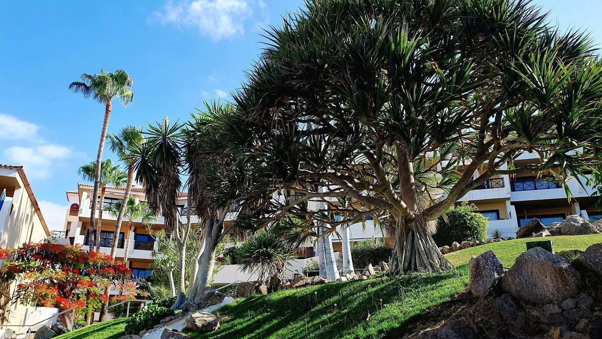 Spacious Apartment With Private Garden In Tenerife South Сан Мигель Испания